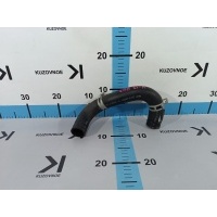 Патрубок радиатора Kia Picanto Morning JA 2020 25415G6500