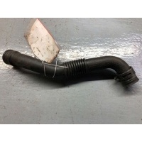 Патрубок вентиляции картера Volkswagen Passat B5 2001 038103493AD