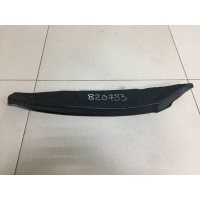 Пыльник (кузов наружные) Hyundai Hyundai Getz 2002-2010 841611C000