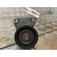 Механизм натяжения ремня, цепи Ford Focus 2004-2008 2005 1S706A228AE