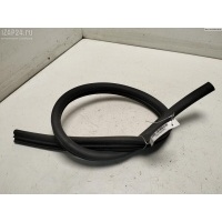 Уплотнитель капота Renault Scenic II (2003-2009) 2007 8200097502