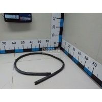 Уплотнитель (внутри) Nissan Qashqai (J10) (2006 - 2014) 82830JD000