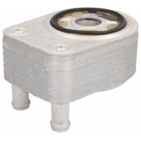 Thermotec радиатор масляный d4y001tt