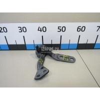 Петля двери багажника верхняя BMW X6 E71 (2008 - 2014) 41007202864