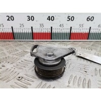 Натяжитель ремня компрессора кондиционера Audi A4 B5 (1994-2001) 2000 F224041,058260511