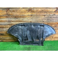 Защита двигателя Audi A6 C6 (S6,RS6) 2004 4F0863821D, 4F0863821E, 4F0863821F, 4F0863821G, 4F0863821