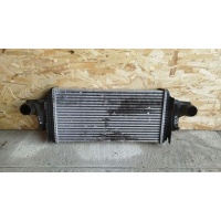 Интеркулер Mercedes M/W164 2005-2011 A1645001700