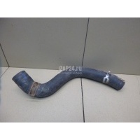 Патрубок радиатора Toyota Prius (2009 - 2015) 1657137140