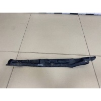 Пыльник (кузов наружные) Hyundai Hyundai Solaris 2010-2017 841421R000
