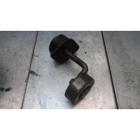 Натяжитель BMW X5 E53 2001 11282247713, 11282354130
