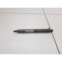 Форсунка топливная Great Wall Poer 2019- 1100100XED95