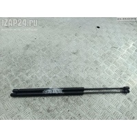 Амортизатор крышки (двери) багажника Renault Scenic I (1996-2003) 2003 7700434465