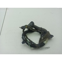 Проводка двери Зад. Прав. Renault Scenic I (1996-2003) 2002 7700287799