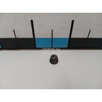 Гайка Renault Duster 2012 7703034248