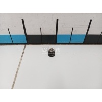 Гайка Renault Duster 2012 7703034248