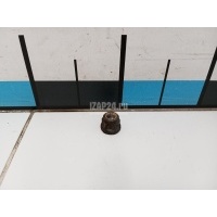 Гайка Renault Duster 2012 7703034248