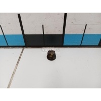 Гайка Renault Duster 2012 7703034248