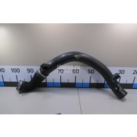 Патрубок интеркулера BMW Countryman R60 (2010 - 2016) 13719804247