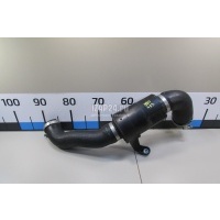 Патрубок интеркулера BMW Countryman R60 (2010 - 2016) 13719804248