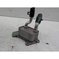 Радиатор масляный (ДВС, КПП, ГУР) Chery Tiggo 7 Pro Max 2022- F4J161013010DA