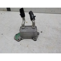 Радиатор масляный (ДВС, КПП, ГУР) Chery Tiggo 7 Pro Max 2022- F4J161013010DA
