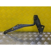 Петля капота Dodge RAM IV (2008-2019) Пикап 2015 55372574AD