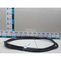 Уплотнитель багажника VAG Octavia (A7) (2013 - 2020) 5E5827705G