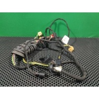 Проводка двери передней левой Audi A6 C5 (S6,RS6) 2002 4B0 971 029 B, 4B0 971 029F