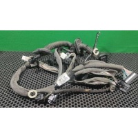 Проводка двери передней левой Renault Megane 3 2009 241252380R