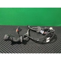Проводка двери задней левой Audi A6 C6 (S6,RS6) 2004 4F1 971 687 A