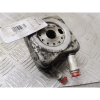 Теплообменник Skoda Fabia 1 (1999-2007) 2004 ,028117021L