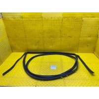 Уплотнитель двери Nissan X-trail t32 2019 828304CL1A