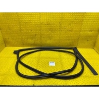 Уплотнитель двери CHERY TIGGO 7 PRO T1E 2023 554000395AA