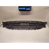 Решетка в бампер центральная Mercedes Benz W213 E-Klasse 2016 2138856900