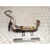 Охладитель отработанных газов Toyota Corolla 10 (E140/E150) 2009 256800R010,13063860001