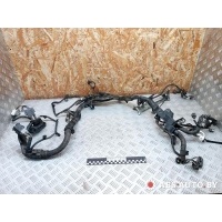 Проводка двигателя Toyota RAV4 3 (XA30) 2012 8266242180,4081XA1