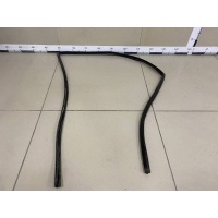 Уплотнитель стекла двери Mitsubishi Mitsubishi Pajero/Montero Sport (KH) 2008-2015 MN117546