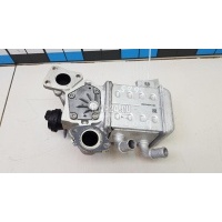 Радиатор системы EGR Hyundai-Kia Santa Fe (TM) 2018 284162R100