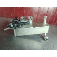 Радиатор масляный BMW 3 series F30 2016 17218514515, 17218514515, 51750612, 70579756, 8514515