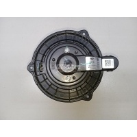 Моторчик отопителя Chery Exceed VX 2021 301001792AA