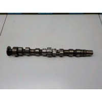 Распредвал выпускной VAG A2 [8Z0] (2000 - 2005) 036109101AA
