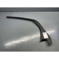 молдинг двери задней правой Ford Focus 3 restailing 2015 BM51-A254K06-ACW