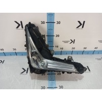 Фара противотуманная Lexus LX450d J200 2015-2022 8136060060