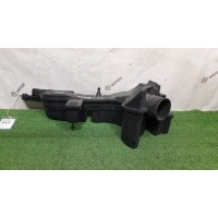 Резонатор воздушного фильтра Nissan Elgrand TNE52 2012 165541AB0A