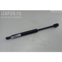 Амортизатор капота BMW X3 E83 (2003-2010) 2005 3400352