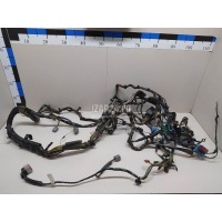 Проводка (коса) Ford Focus II (2005 - 2008) 1499204