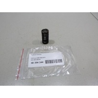Пружина клапана VAG A6 [C6,4F] (2004 - 2011) 06E109623H
