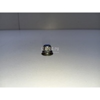 Гайка VAG A6 [C6,4F] (2004 - 2011) WHT001002