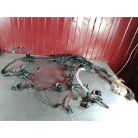 Проводка двигателя BMW 5 series F10 2010 12518514904, 12518583569, 12518514904, 12518507981, 12518583566, 12518583566, 12518515279, 12518583653, 8514904