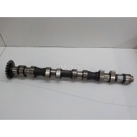 Распредвал выпускной VAG Passat [B5] (1996 - 2000) 058109022B